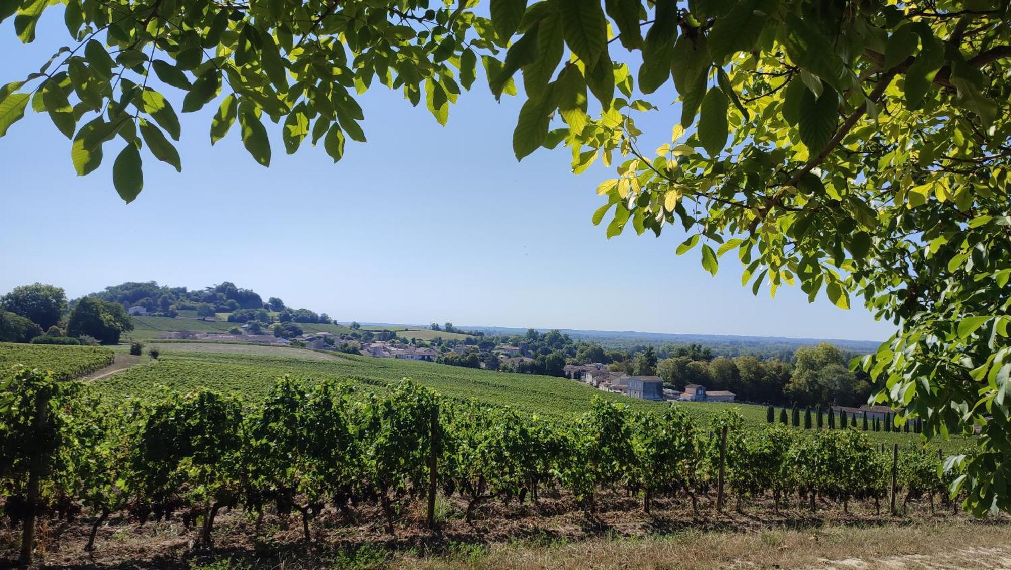 Maison Charmeilles - Gite Touristique - Coliving Fronsac  Exterior foto