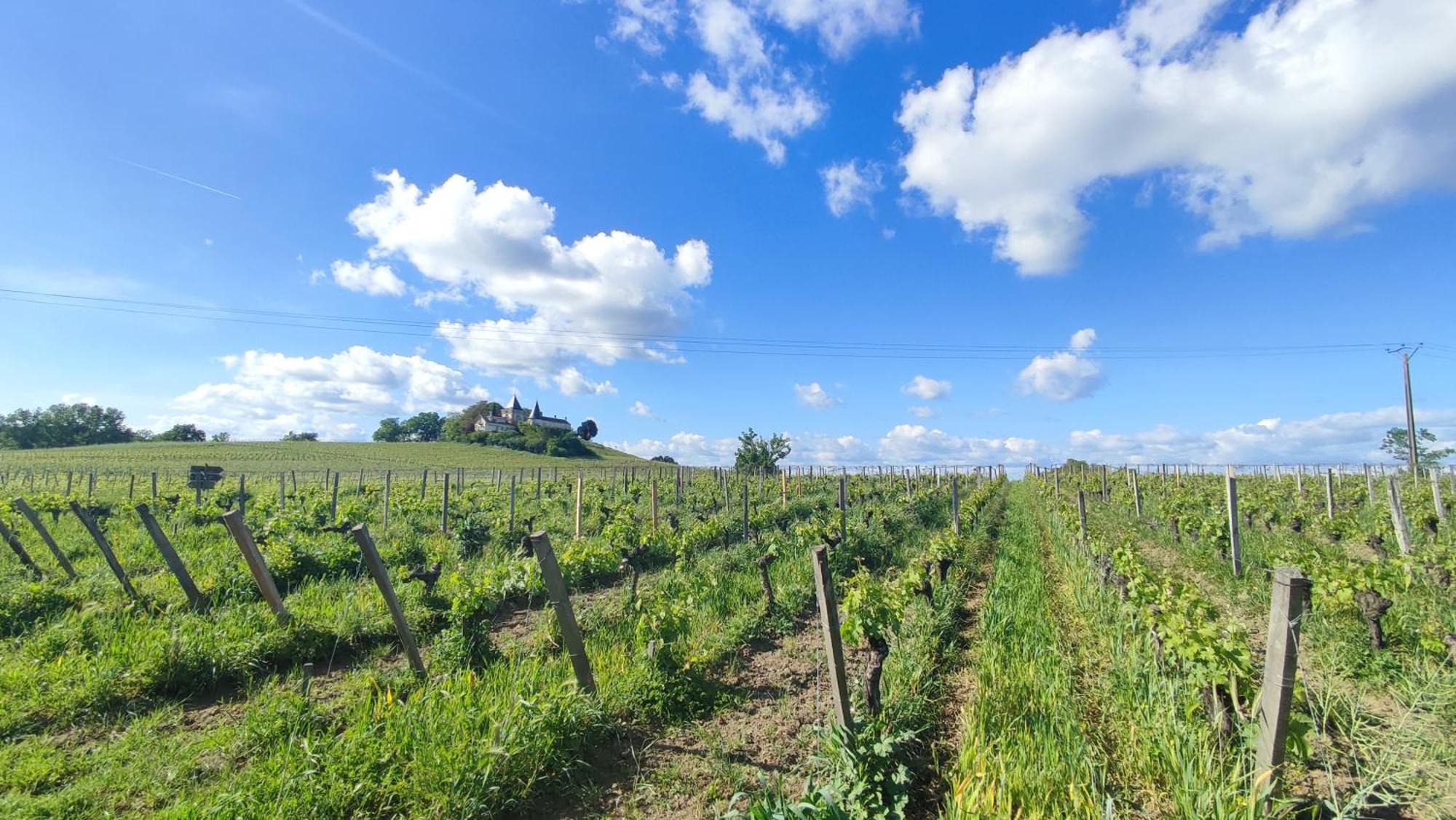 Maison Charmeilles - Gite Touristique - Coliving Fronsac  Exterior foto